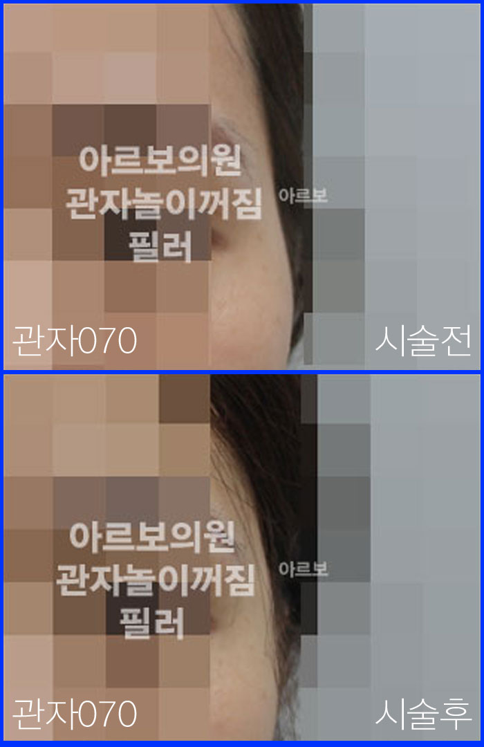 ڳʷ,ڳ븮ʷ