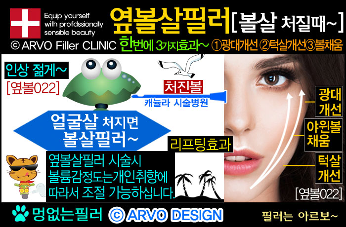 볼리프팅,리프팅필러,볼살필러,볼필러,옆볼살필러,옆광대필러,광대돌출,옆광대돌출,턱살처짐,턱처짐,볼처짐,볼살처짐