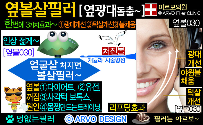 볼리프팅,리프팅필러,볼살필러,볼필러,옆볼살필러,옆광대필러,광대돌출,옆광대돌출,턱살처짐,턱처짐,볼처짐